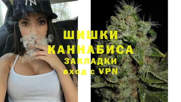 стаф Кодинск